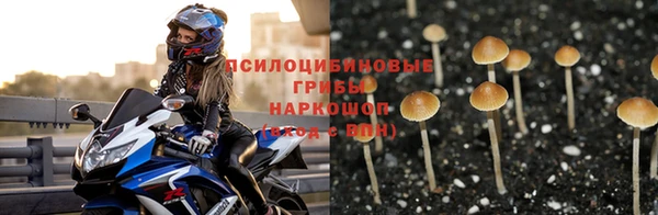 индика Нефтегорск
