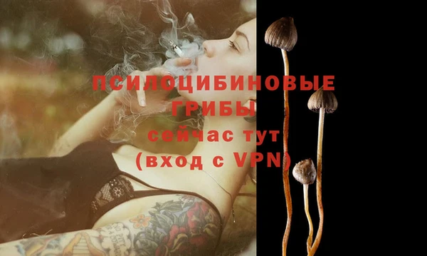 индика Нефтегорск