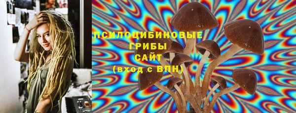 индика Нефтегорск