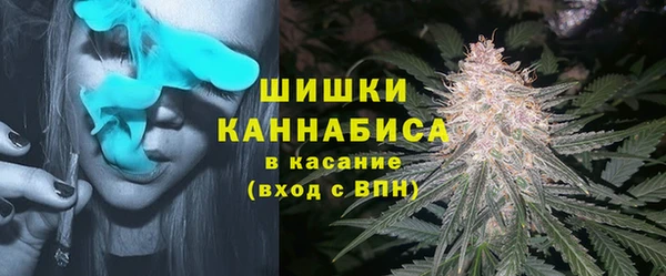 индика Нефтегорск