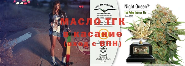 индика Нефтегорск
