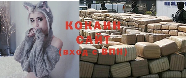 индика Нефтегорск